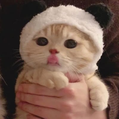 //Martin Nievera avatar